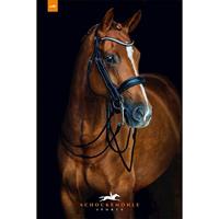 Schockemohle Sports Venice stang en trens hoofdstel zwart maat:full - thumbnail