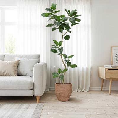 Ficus Audrey Kunstboom RT 240cm
