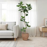 Ficus Audrey Kunstboom RT 240cm - thumbnail