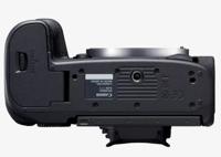 Canon EOS R5 + RF 24-105mm F/4L IS USM - thumbnail