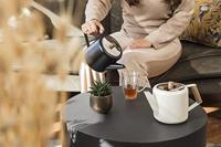 BREDEMEIJER - Boston - Theepot 1,10l mat zwart - thumbnail