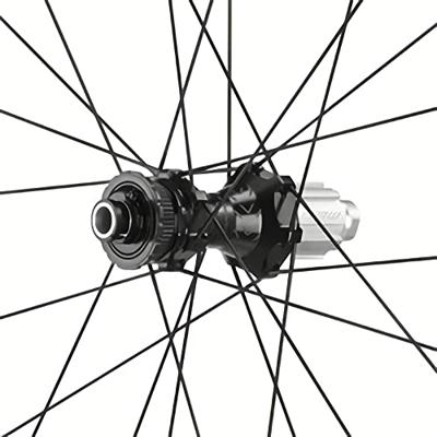 Campagnolo Wielset 28" levante c25 db