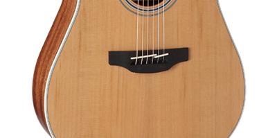 Takamine GD20CE-NS elektr.akoest. westerngitaar ceder top natural satin Takamine GD20CE-NS elektr.akoest. westerngitaar ceder top natural satin