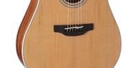 Takamine GD20CE-NS elektr.akoest. westerngitaar ceder top natural satin - thumbnail