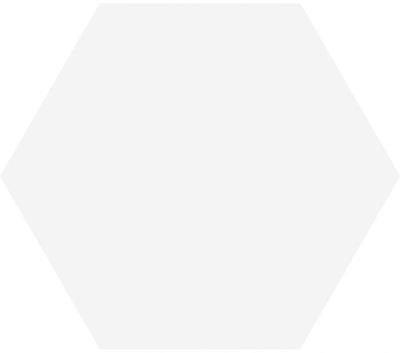 Hexagon Timeless White mat 15x17