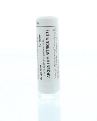 Homeoden Heel Argentum nitricum D12 6 Gram