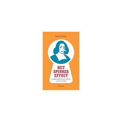 Het Spinoza-effect (Hardback)