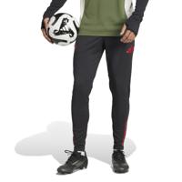 adidas Bayern München Trainingsbroek Europees 2025-2026 Zwart Rood - thumbnail