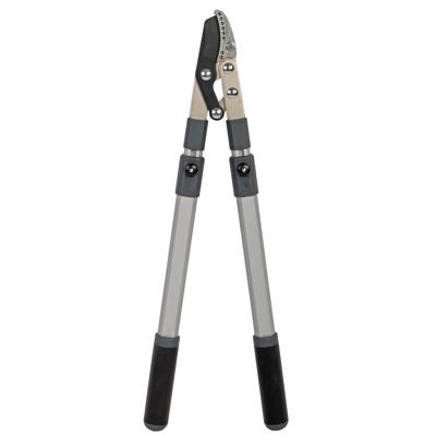 Takkenschaar telescopisch met aambeeld