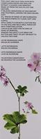 Académie Aromatherapie Make-up Removing Milk 200ml - thumbnail