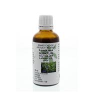 Cruydhof Scutellaria Laterifolia Hrb/Amerikaans Glidkruid Drupppels - thumbnail