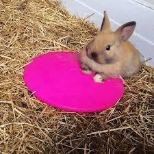 SCRATCH & NEWTON ICE POD KOELSCHIJF 21 CM