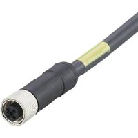 ifm Electronic E12430 Aansluitkabel Aantal polen (sensoren): 4 Bus, recht 2 m 1 stuk(s) - thumbnail