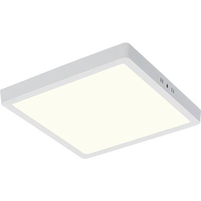 LED Paneel - 30x30 Natuurlijk Wit 4200K - 24W Opbouw Vierkant - Mat Wit - Flikkervrij