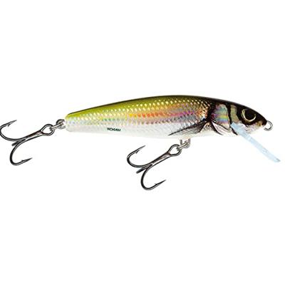 Salmo Minnow 6 cm Floating Holo Bleak