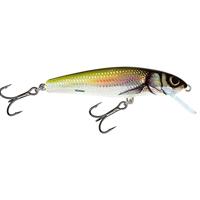 Salmo Minnow 6 cm Floating Holo Bleak - thumbnail