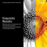 Originele Toner Xerox 006R04378 Zwart - thumbnail