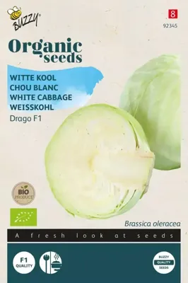 Bio witte kool drago f1 25zdn