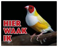 Gouldamadine Waakbord - thumbnail