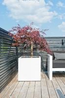 Pottery Pots Glossy Block 40x40x40 cm wit vierkante plantenbak - thumbnail