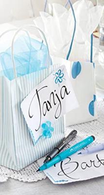 Faber Castell Tekenstift Pitt Artist Pen Brush - set 12 stuks - Earth Tones