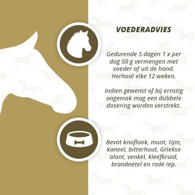 Excellent Horse Parex 750 g