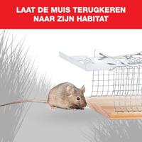 Swissinno Mouse Classic Niet dodelijke val 1 stuk(s) - thumbnail