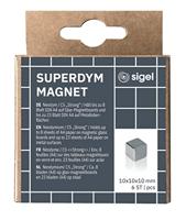 Sigel Neodymium magneet BA192 (b x h x d) 10 x 10 x 10 mm Dobbelsteen Zilver 6 stuk(s) BA192 - thumbnail