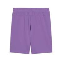 PUMA teamGOAL Voetbalbroekje Paars - thumbnail