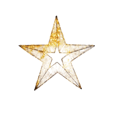 3d ster metaal 1440led flash ip44 trafo met timer en dimmer 76x8 cm classic warm Anna's Collection - Annas collection 3d ster metaal 1440led flash ip44 trafo met timer en dimmer 76x8 cm classic warm Anna's Collection - Annas collection