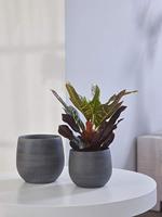 Pot esra mystic grey bloempot binnen 22 cm - thumbnail