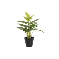 Decoratieve plant DKD Home Decor PVC Polypropyleen 25 x 25 x 30 cm - thumbnail