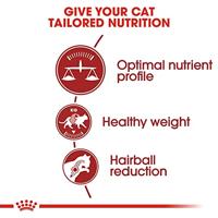 Royal Canin C-58520 FIT - 400 gr - thumbnail