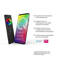 Paul Neuhaus Smart hanglampQ-Vito Ø 80cm - 8412-13 - thumbnail