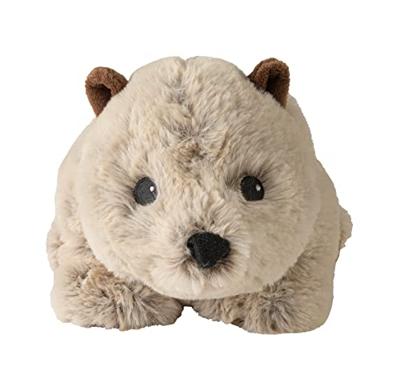 Wombat
