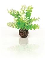 BiOrb Caulerpa groen aquarium decoratie - thumbnail
