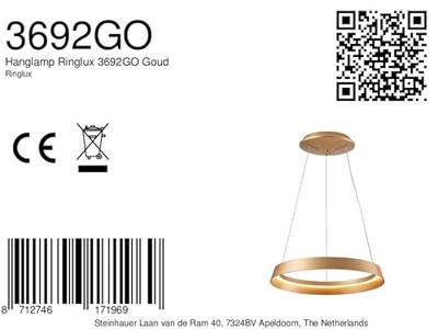 Steinhauer Strakke hanglampRinglux goud Ø 60cm - 3692GO