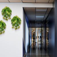 Philodendron Micans RT kunst hangplant 45cm - thumbnail