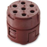 EPIC Signal M23 P inzetstukken, 7-polig 44420153 Lapp Zubehör LAPP Inhoud: 20 stuk(s) - thumbnail