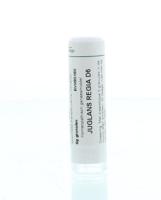 Juglans regia D6 - thumbnail