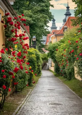 Alexsar Art Tuinschilderij rozen straat 70x50cm Alexsar Art Tuinschilderij rozen straat 70x50cm