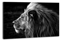 Schilderij -Zijprofiel van een Leeuw, Koning van de Jungle, zwart/wit, 100x70cm. premium print - thumbnail