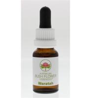 Australian Bush Waratah 15 Milliliter - thumbnail