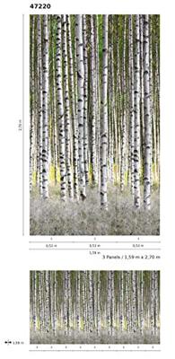 Noordwand Smart Art Easy Fotobehang berkenbos 47220