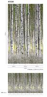 Noordwand Smart Art Easy Fotobehang berkenbos 47220 - thumbnail