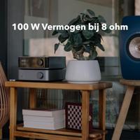 WiiM Vibelink Amp | 100W eindversterker met premium ESS 9039Q2M DAC en TI TPA3255 | Compatibel met WiiM Mini, Pro, Pro Plus en Ultra | RCA-, coaxiale en optische ingangen | Zilver - thumbnail