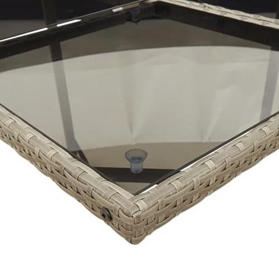 13-delige Tuinset met kussens poly rattan grijs