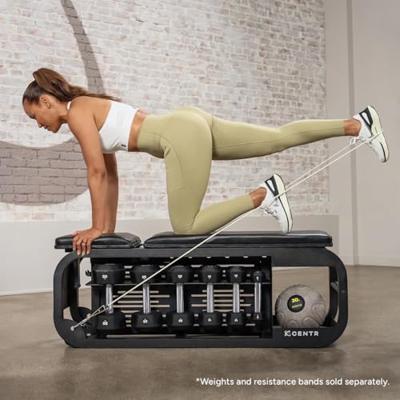 Centr Fusion Bench Centr Fusion Bench