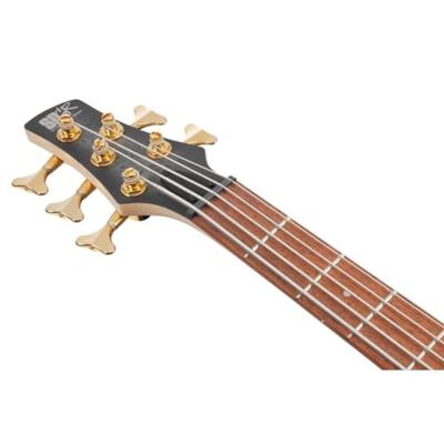 Ibanez SR305EDX Soundgear Black Ice Frozen Matte 5-snarige elektrische basgitaar