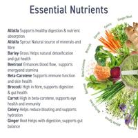 Critical Greens with Taste 150gr Lemon Lime - thumbnail